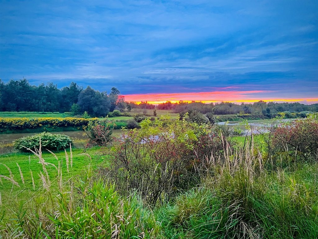 Działka rekreacyjna na sprzedaż Olza, Kolejowa  279m2 Foto 20