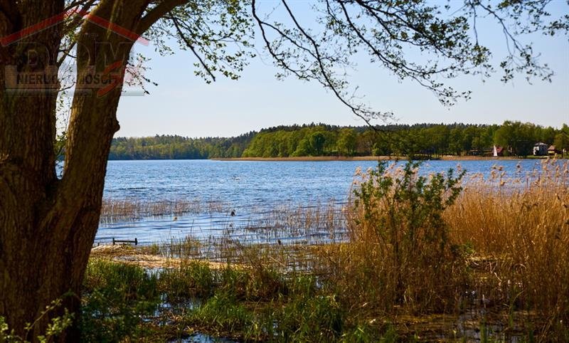 Działka budowlana na sprzedaż Gudowo  8 000m2 Foto 10