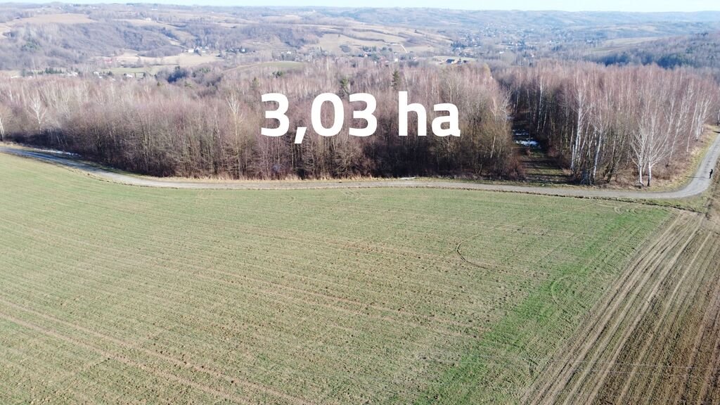 Działka inna na sprzedaż Nowy Borek  30 350m2 Foto 1