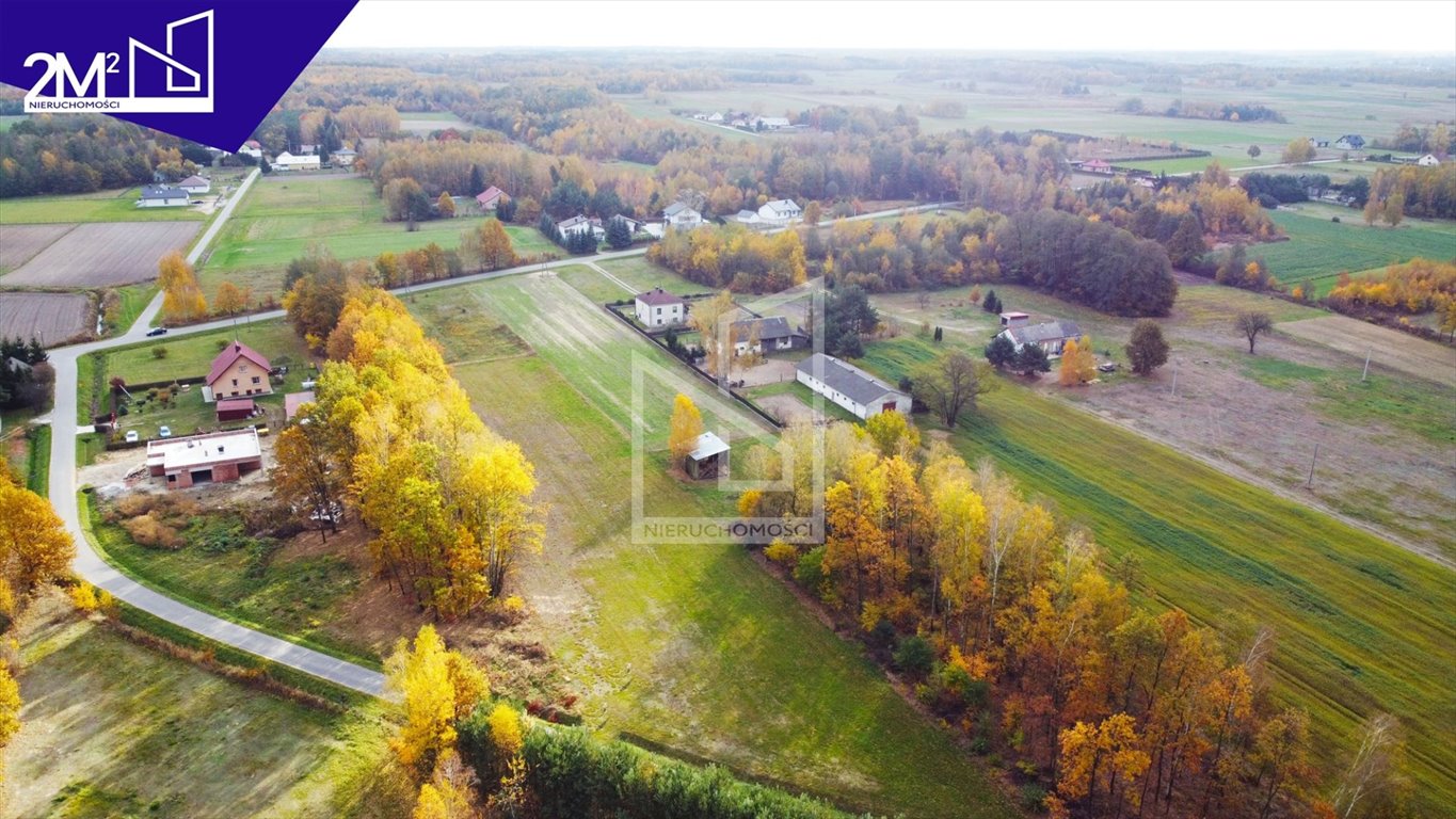 Działka budowlana na sprzedaż Ruda  13 000m2 Foto 4