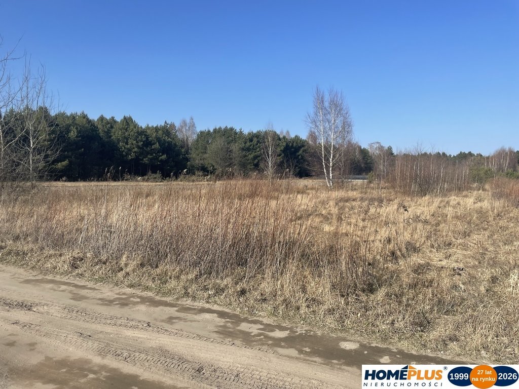 Zdjęcie 4
