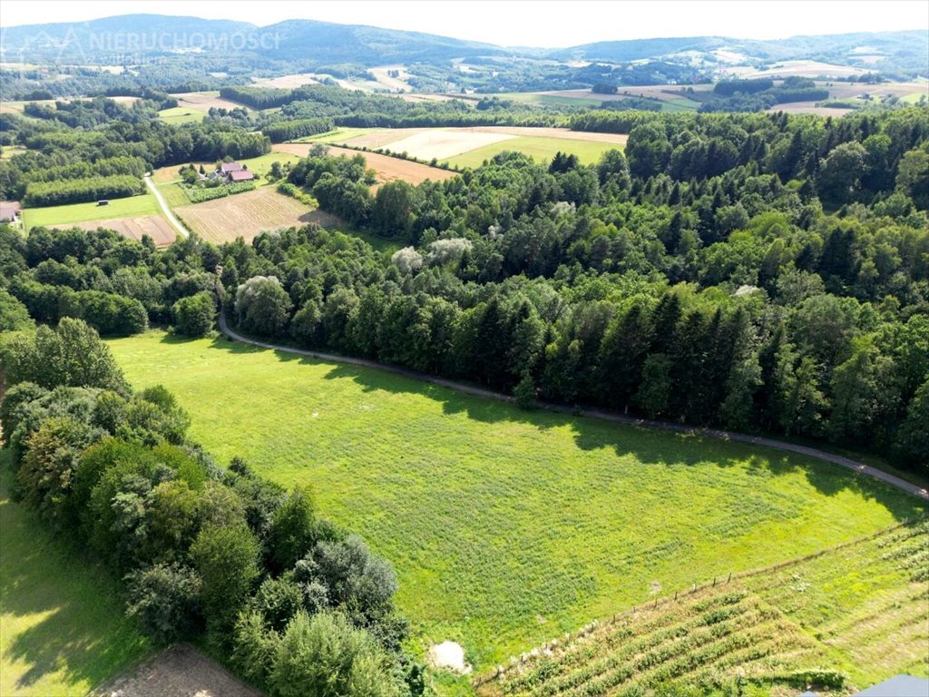 Działka budowlana na sprzedaż Błażkowa  2 559m2 Foto 12