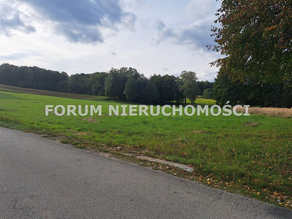 Atrakcyjna działka 40 a z dojazdem asfaltowym i mediami Stara Wieś  2 000m2 Foto 1