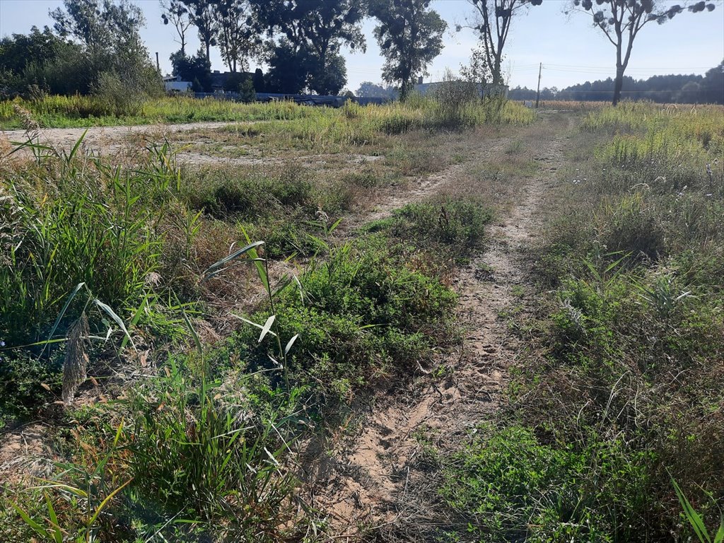 Działka budowlana na sprzedaż Krobia  1 506m2 Foto 9