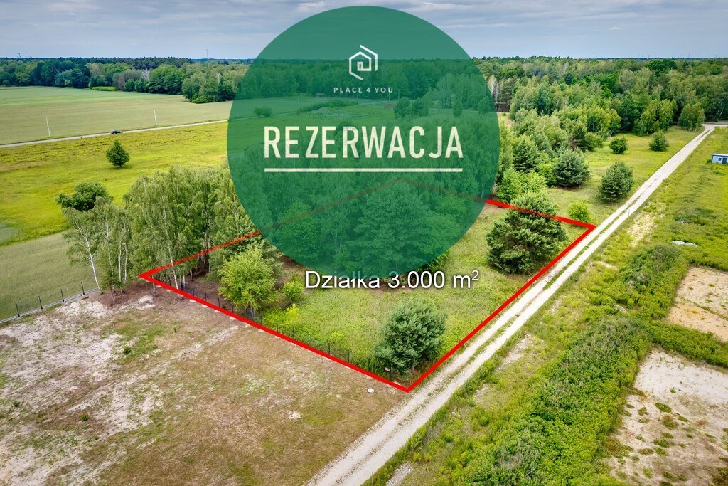 Działka 3000 m² z potencjałem inwestycyjnym w Boryszewie: Boryszew: Calineczki