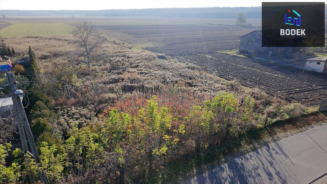 Działka budowlana na sprzedaż Miłocice, Miłocice, Główna  3 185m2 Foto 12