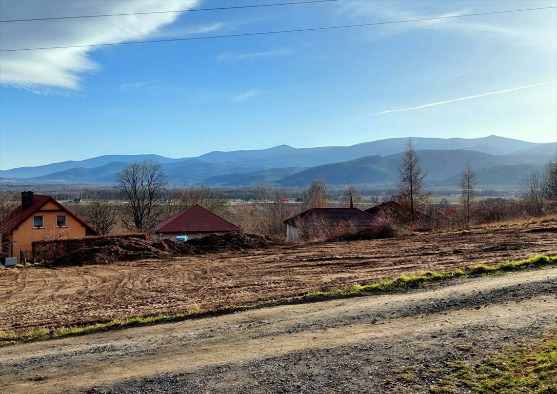 Działka budowlana na sprzedaż Wojcieszyce  1 482m2 Foto 3