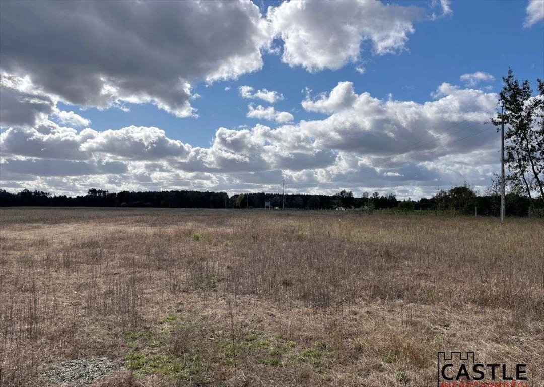 Działka budowlana na sprzedaż Trzciel  1 001m2 Foto 10