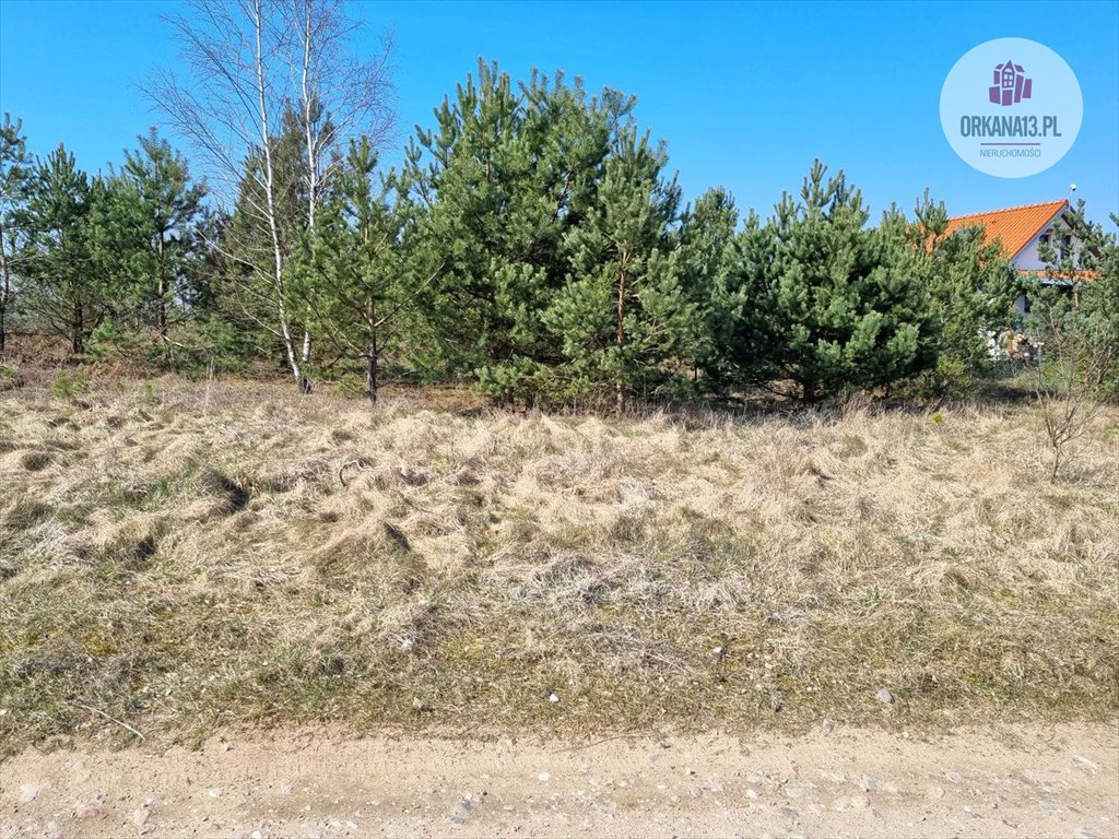 Działka rolna na sprzedaż Biesówko, Biesówko  4 093m2 Foto 9