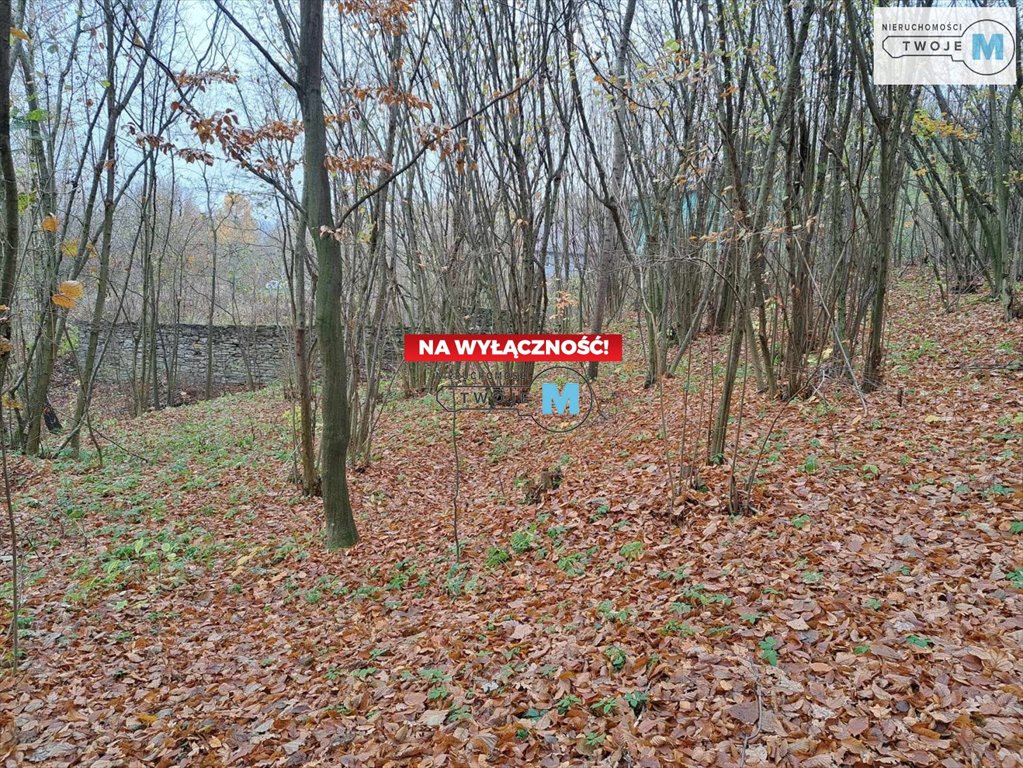 Działka inna na sprzedaż Chęciny, Lelusin, Wojkowiec  9 900m2 Foto 6