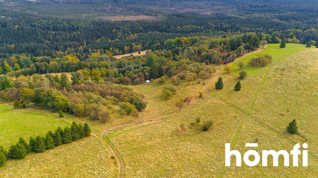 Do sprzedania działka 4300 m² w Zieleniec z warunkami zabudowy Duszniki-Zdrój, Zieleniec, Zieleniec  4 300m2 Foto 1