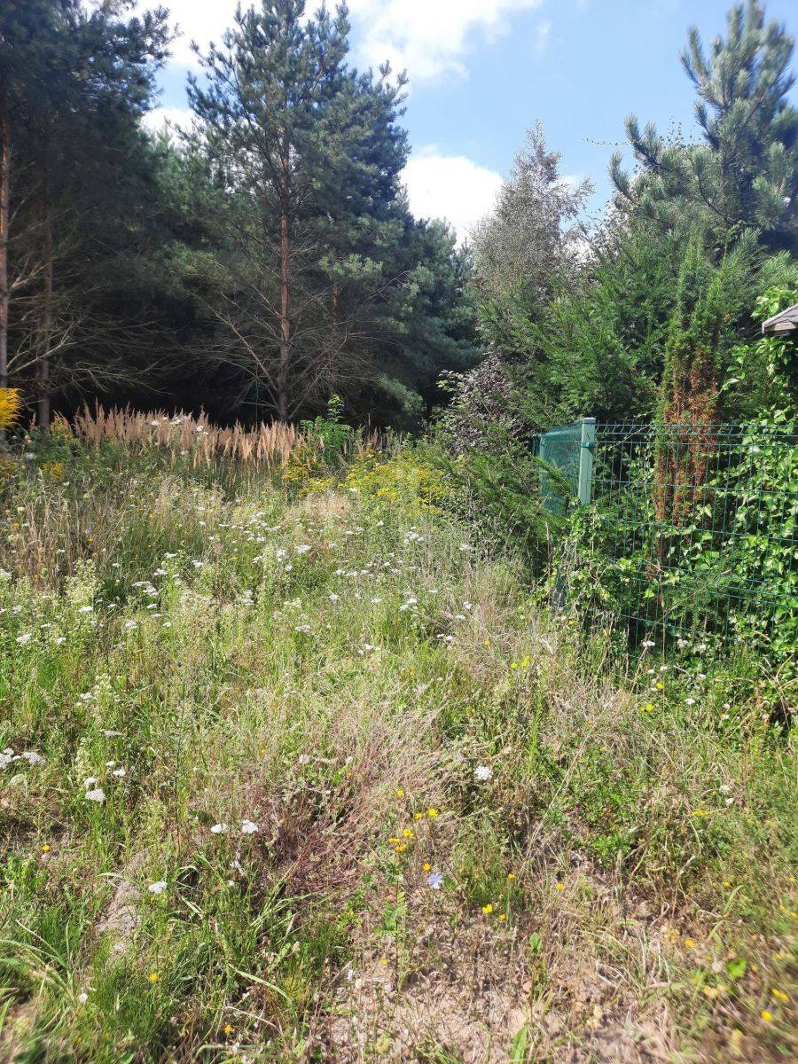 Działka budowlana na sprzedaż Kamionki  1 464m2 Foto 1