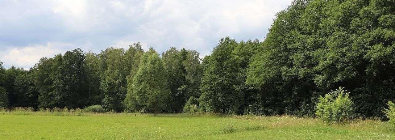 Działka siedliskowa na sprzedaż Czepielin-Kolonia  1 650m2 Foto 1