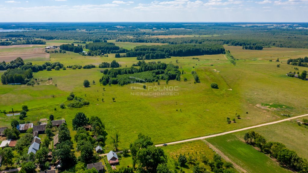 Działka rolna na sprzedaż Mieleszki-Kolonia  3 003m2 Foto 7