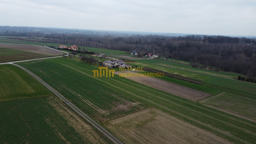 Działka rolna na sprzedaż Kraczkowa  1 700m2 Foto 4