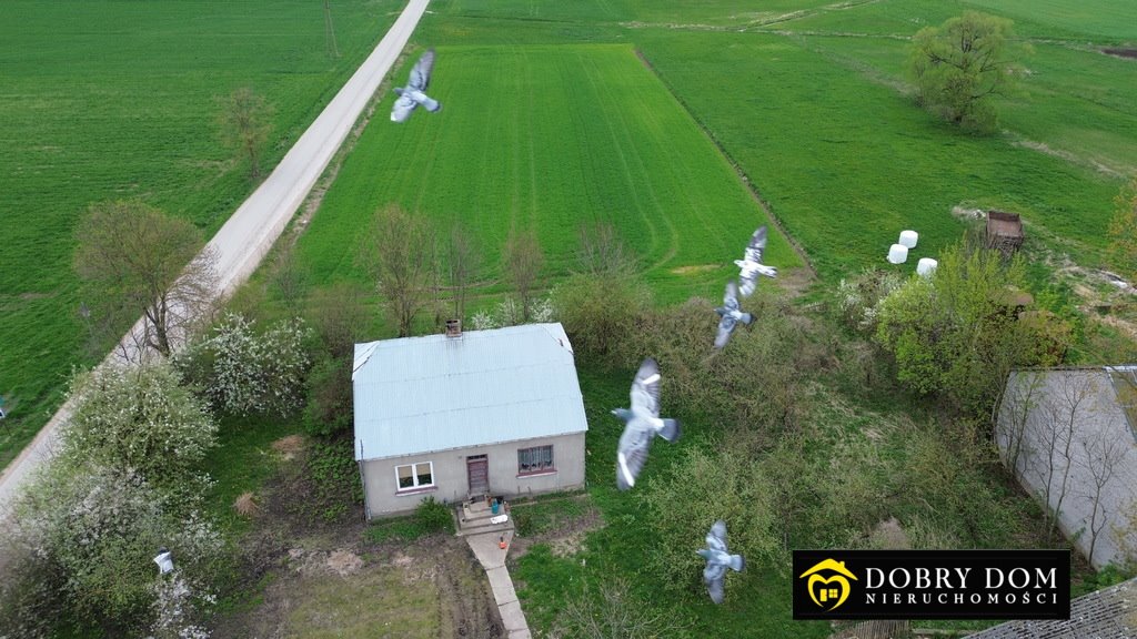 Dom na sprzedaż Dąbrowa-Nowa Wieś  80m2 Foto 1