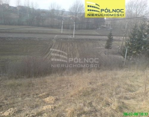 Działka budowlana na sprzedaż Orłów  10 271m2 Foto 11