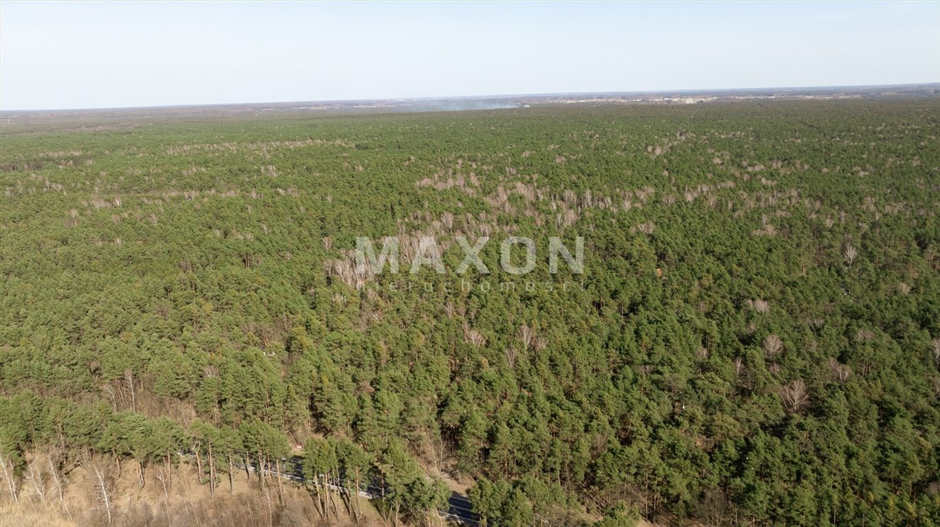 Działka budowlana na sprzedaż Wilga  9 027m2 Foto 10