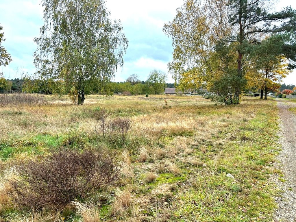 Działka budowlana na sprzedaż Brzózki  1 016m2 Foto 4