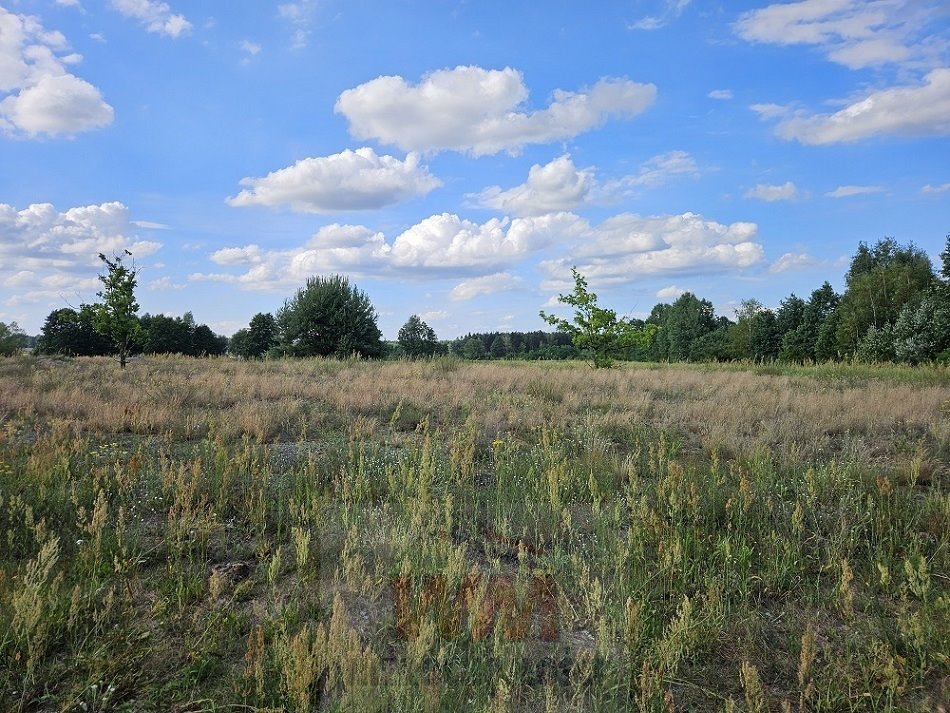 Działka budowlana na sprzedaż Sierzchów  1 006m2 Foto 1