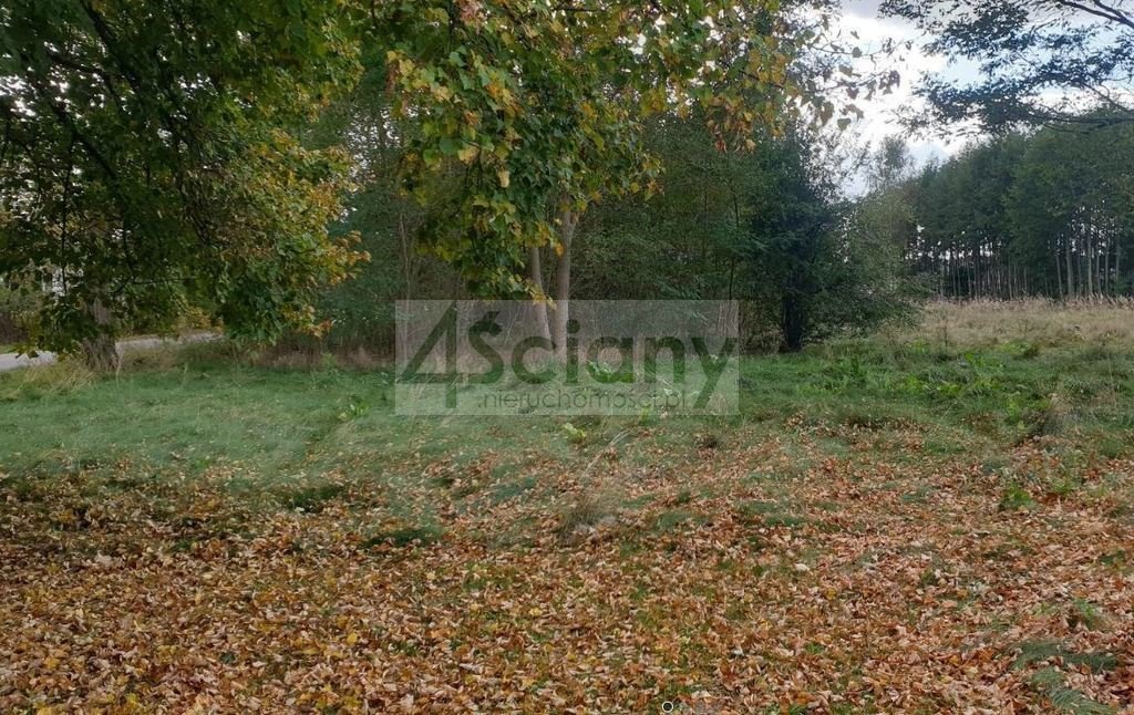 Działka rolna na sprzedaż Stary Łajszczew  6 421m2 Foto 1