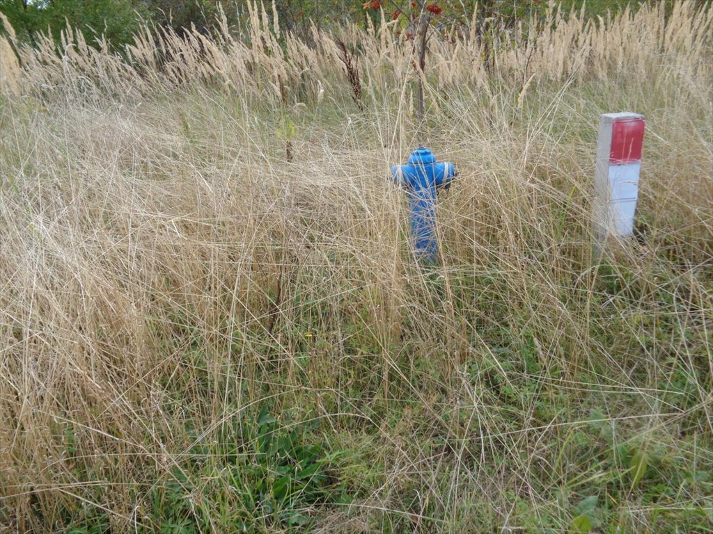 Działka budowlana na sprzedaż Kielce, Bukówka, Jaśminowa  957m2 Foto 19