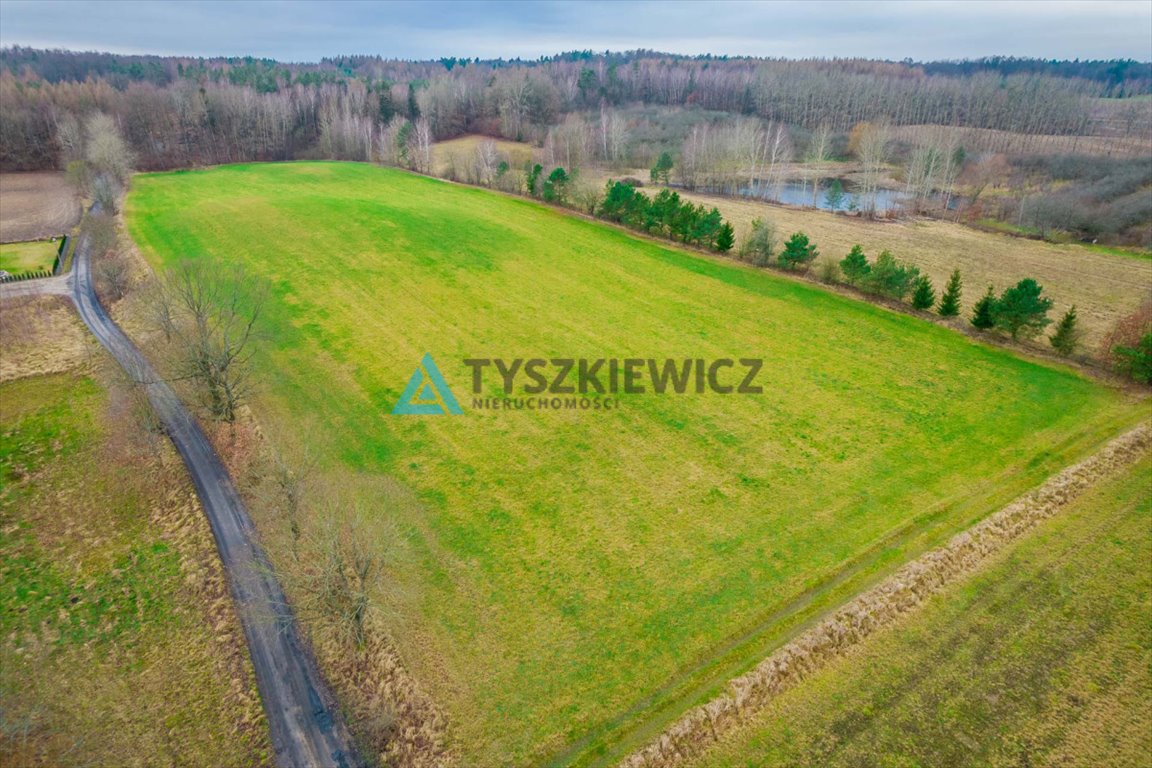 Działka rolna na sprzedaż Głodowo  28 400m2 Foto 3