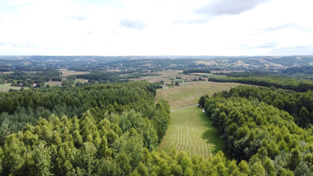 Działka budowlana na sprzedaż Nowy Borek  8 060m2 Foto 5