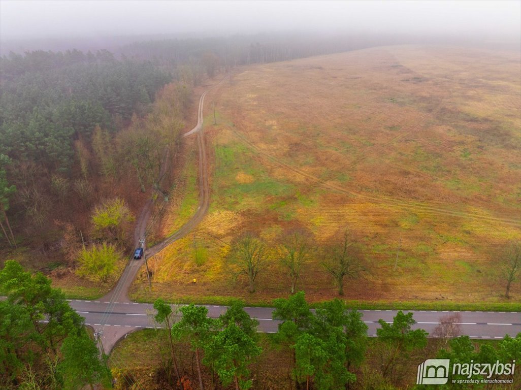 Działka inna na sprzedaż Nowogard, obrzeża  8 137m2 Foto 10