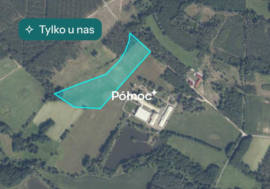 Działka inwestycyjna 33 900 m² w Chociejowie polecam!: Chociejów