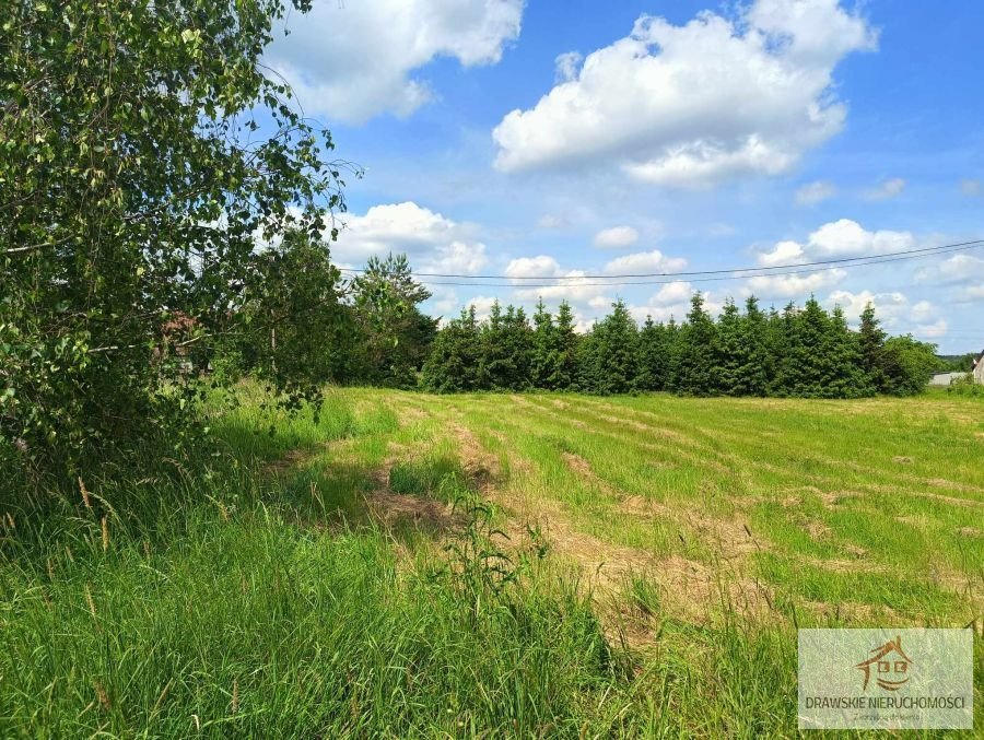 Działka rolna na sprzedaż Piecnik, Piecnik  1 900m2 Foto 7