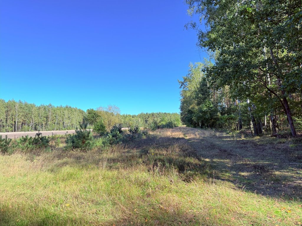 Działka rolna na sprzedaż Przepitki  3 650m2 Foto 1