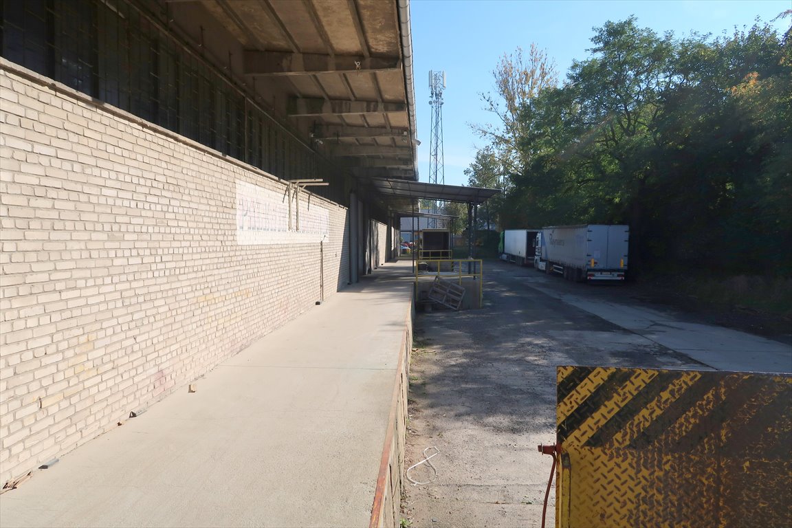 Magazyn na sprzedaż Legnica  5 050m2 Foto 8
