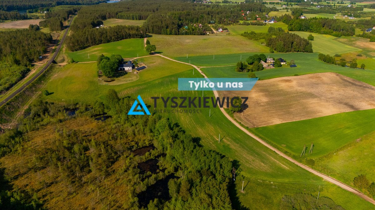 Działka rolna 1,89 ha w Skorzewie – cicha okolica Skorzewo  18 900m2 Foto 1