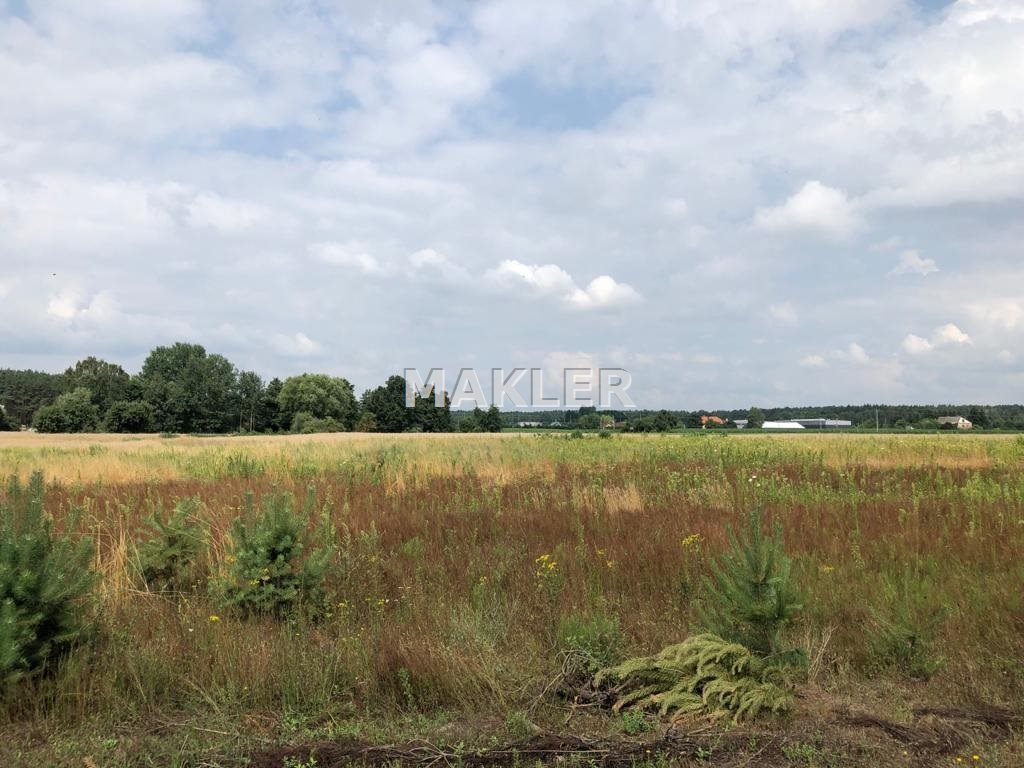 Działka budowlana na sprzedaż Wilcze  1 090m2 Foto 2