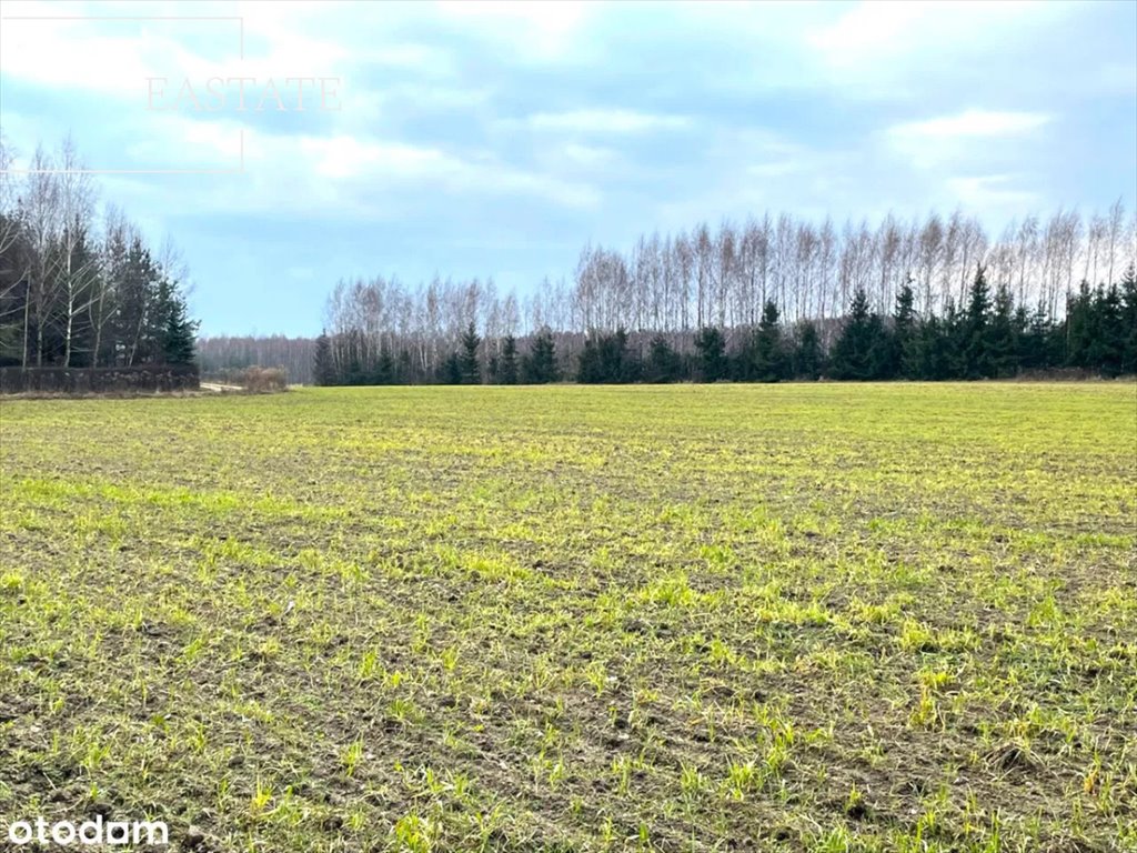 Działka budowlana na sprzedaż Harsz  3 004m2 Foto 1