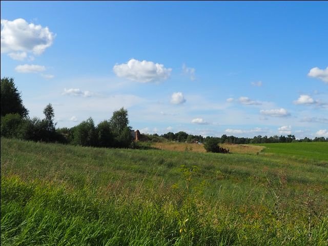 Działka leśna na sprzedaż Wołowno  19 700m2 Foto 10