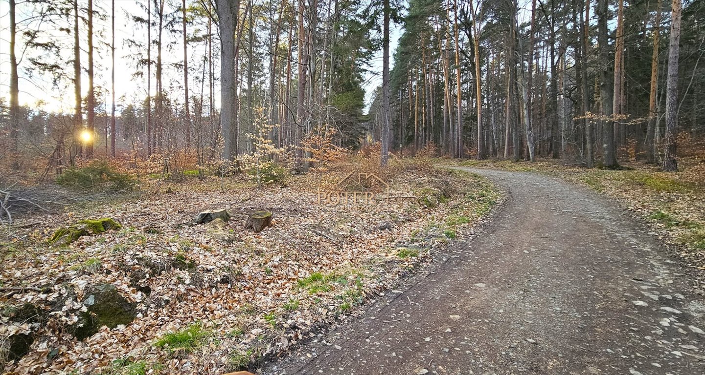 Działka budowlana na sprzedaż Sulistrowiczki, Wiśniowa  909m2 Foto 7