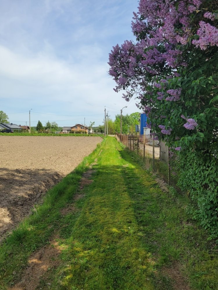 Działka rekreacyjna na sprzedaż Andrespol, Rokicińska 10A  3 140m2 Foto 10