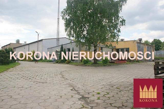 Lokal użytkowy na sprzedaż Rybnik 11 101m2 Foto 1 Lokal użytkowy na sprzedaż Rybnik 11 101m2 Foto 1