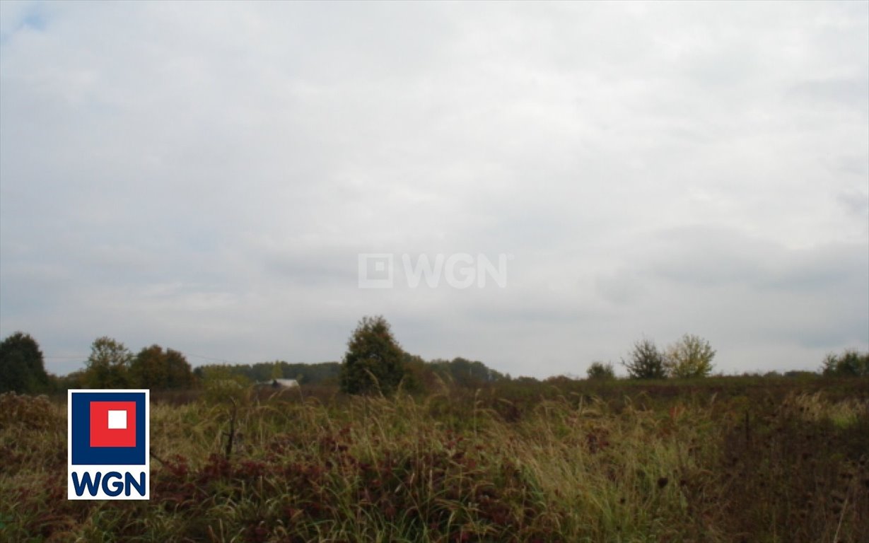 Działka inwestycyjna na sprzedaż Chrzanów, Chrzanów  5 402m2 Foto 3