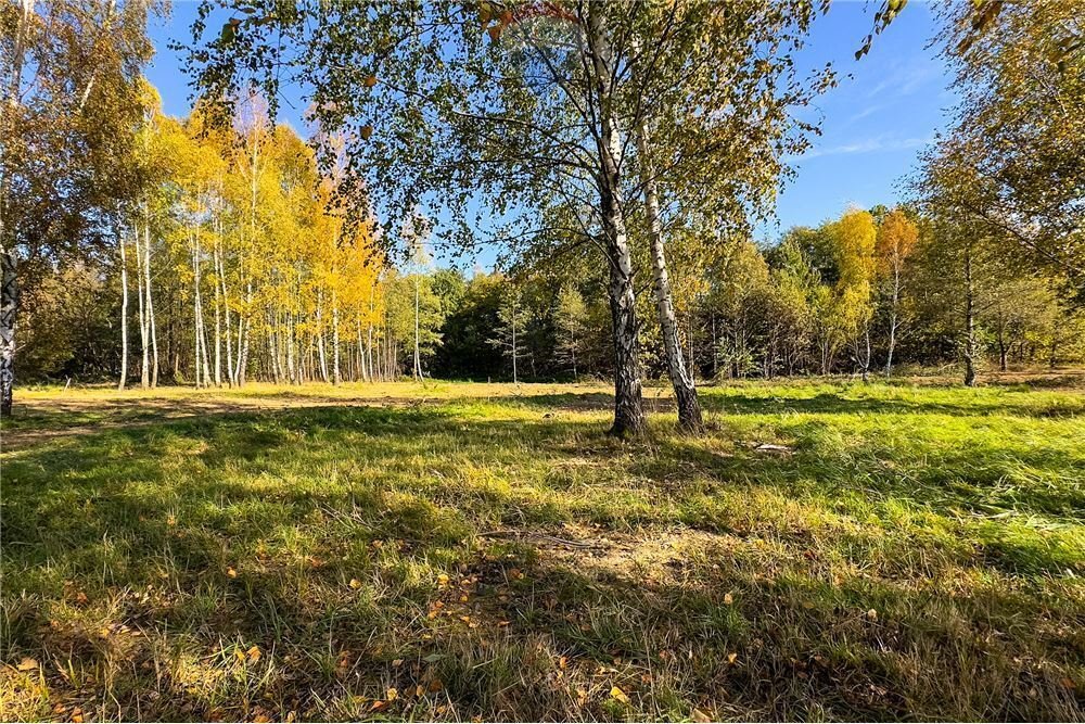 Działka budowlana na sprzedaż Jasienica  6 320m2 Foto 6