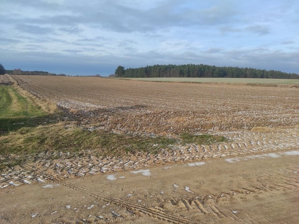 Działka gospodarstwo rolne na sprzedaż Zastocze  20 064m2 Foto 6