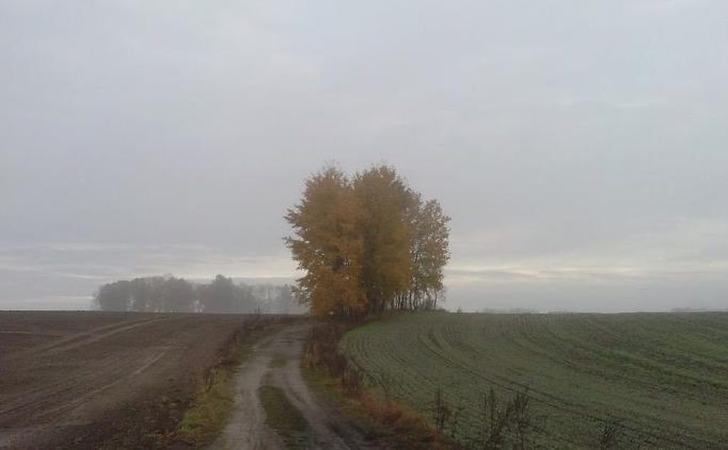 Działka rolna na sprzedaż Grzmiąca, Krosino  58 300m2 Foto 1