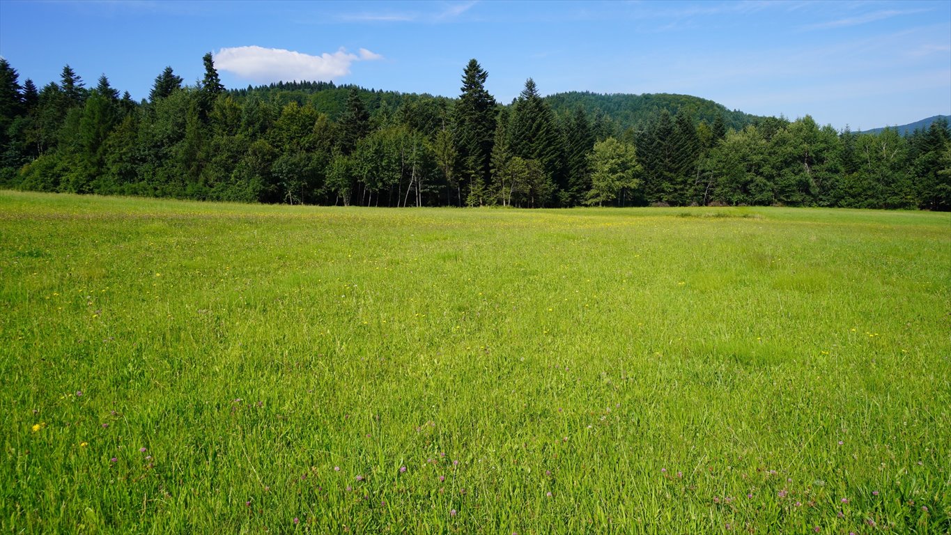 Działka 0,92 ha pod zabudowę i agroturystykę w Klimkówce Klimkówka  9 200m2 Foto 1