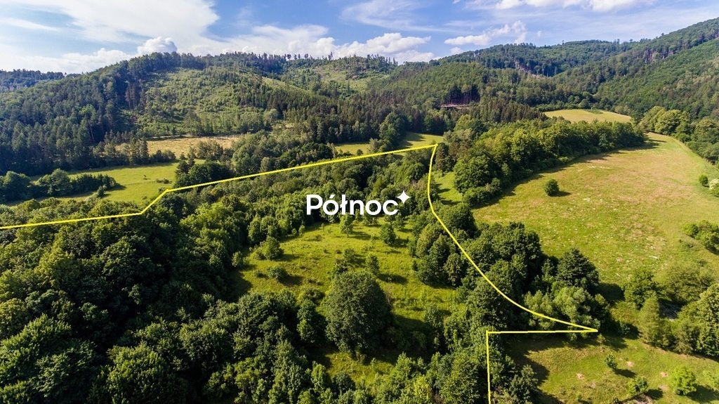 Działka 3,3 ha z stawem i widokami na Śnieżnik Podzamek  33 000m2 Foto 1