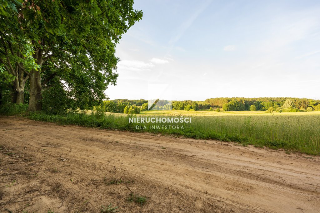 Kameralna działka w Kłodawie blisko Gorzowa, 1750 m2 Kłodawa  1 750m2 Foto 1