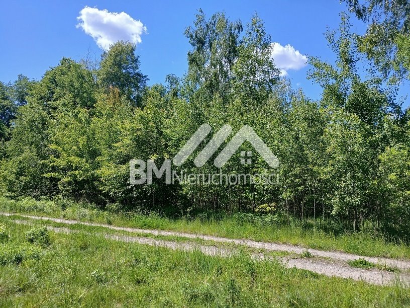 Działka budowlana na sprzedaż Adamowizna  1 584m2 Foto 1