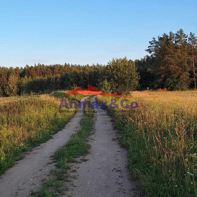 Działka budowlana na sprzedaż Strzelniki  3 900m2 Foto 2