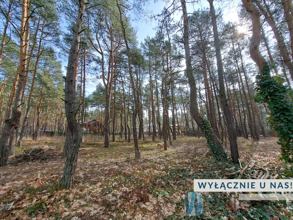 Działka budowlana na sprzedaż Józefów  3 151m2 Foto 1